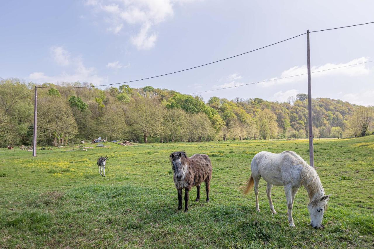Gite Le Moulin Pocheluberry Bidache Bagian luar foto